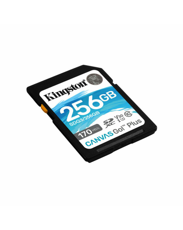 SD Speicherkarte Kingston SDG3/256GB 1