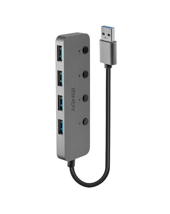 Hub USB LINDY Noir Gris (1 Unités) 1