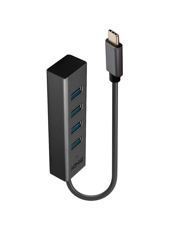 Hub USB LINDY 43325 Grau 1