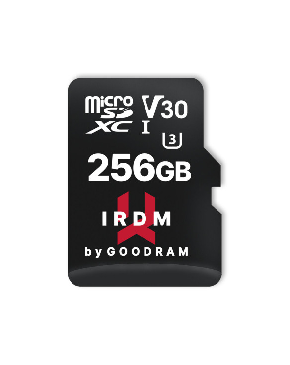 Pamięć USB GoodRam IR-M3AA-2560R12 Czarny 256 GB 1