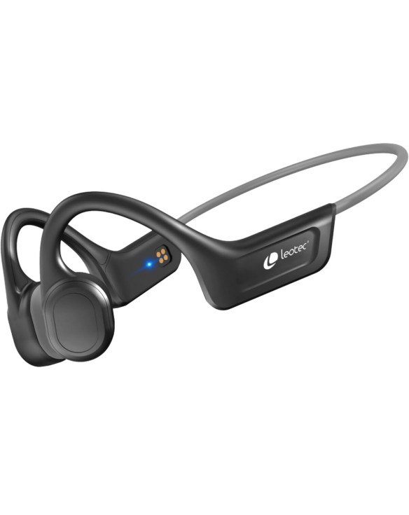 Kopfhörer mit Mikrofon LEOTEC OSEA  Grau 1