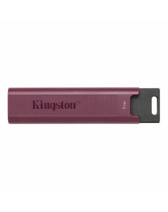 USB stick Kingston Max Red 1