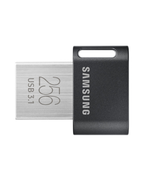 USB stick Samsung MUF-256AB 256 GB 1