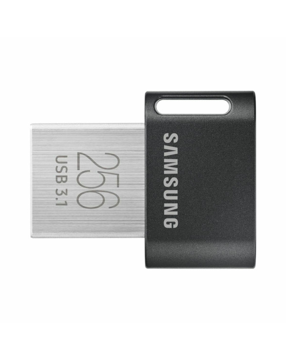 USB Pendrive Samsung MUF-256AB/APC Silberfarben 256 GB 1