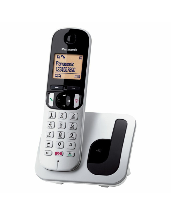 Kabelloses Telefon Panasonic KX-TGC250 Grau Silberfarben 1